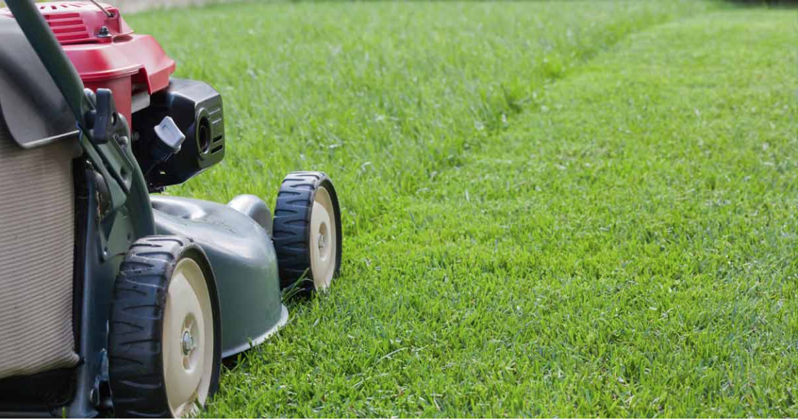 loop capital cuts 225 mow lawn