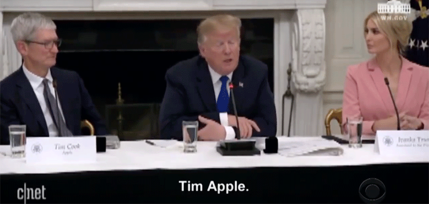 trump tim apple