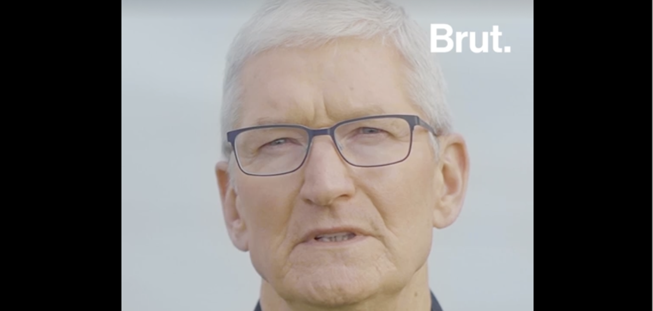 apple tim cook greenwashing