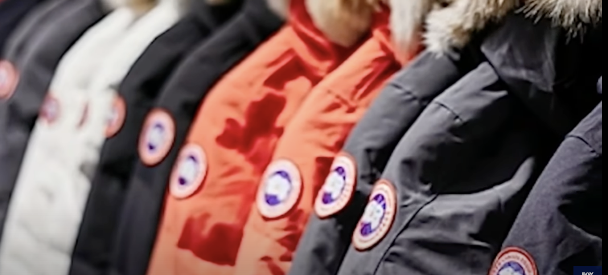 apple airtag canada goose